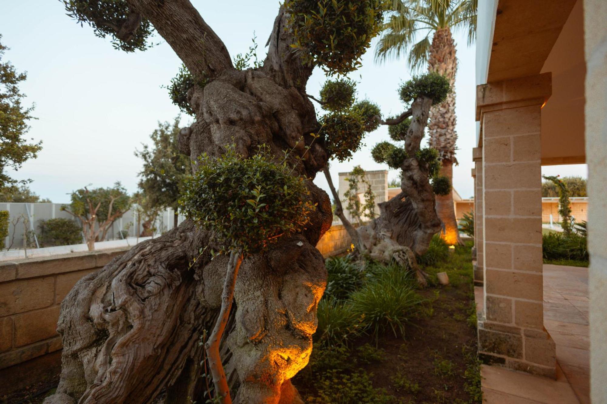 Don Onofrio Villa Monopoli Exteriör bild